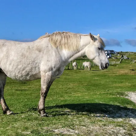 Connemara Bay House * Moyard